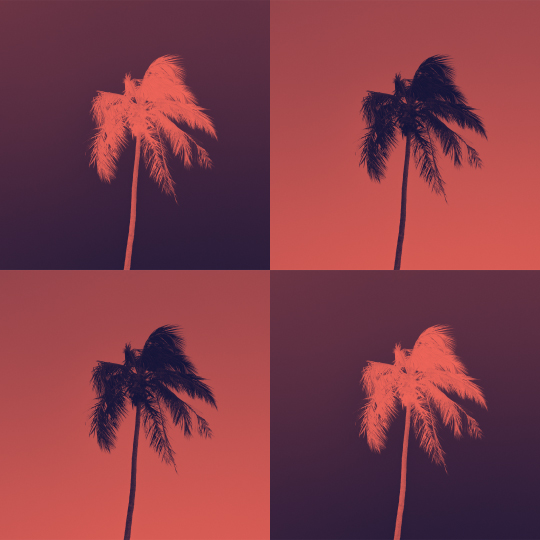 tropicalStyle_site02